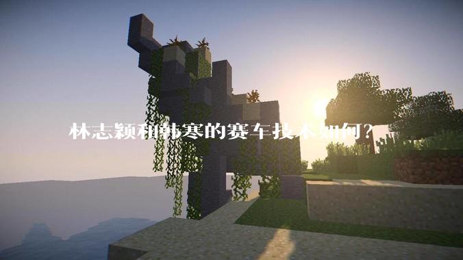 林志颖和韩寒的赛车技术如何？