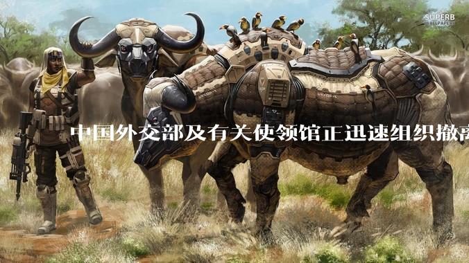 中国外交部及有关使领馆正迅速组织撤离在以、伊的中国公民，目前当地情况如何？