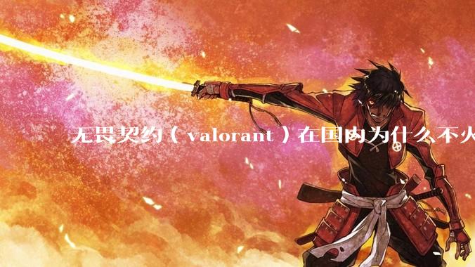 无畏契约（valorant）在国内为什么不火?