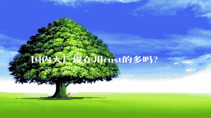 国内大厂现在用rust的多吗？