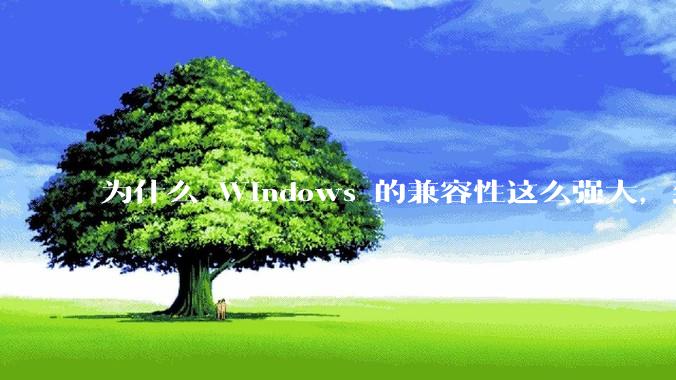 为什么 Windows 的兼容性这么强大，到底用了什么技术？